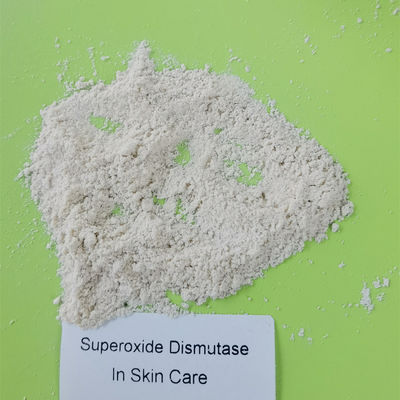 Whitening Anti Wrinkle Superoxide Dismutase Powder CAS 9054-89-1